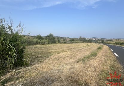 vente Terrain agricole Lespignan