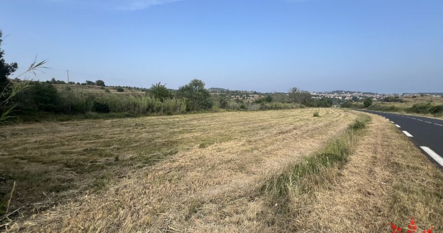 vente Terrain agricole Lespignan