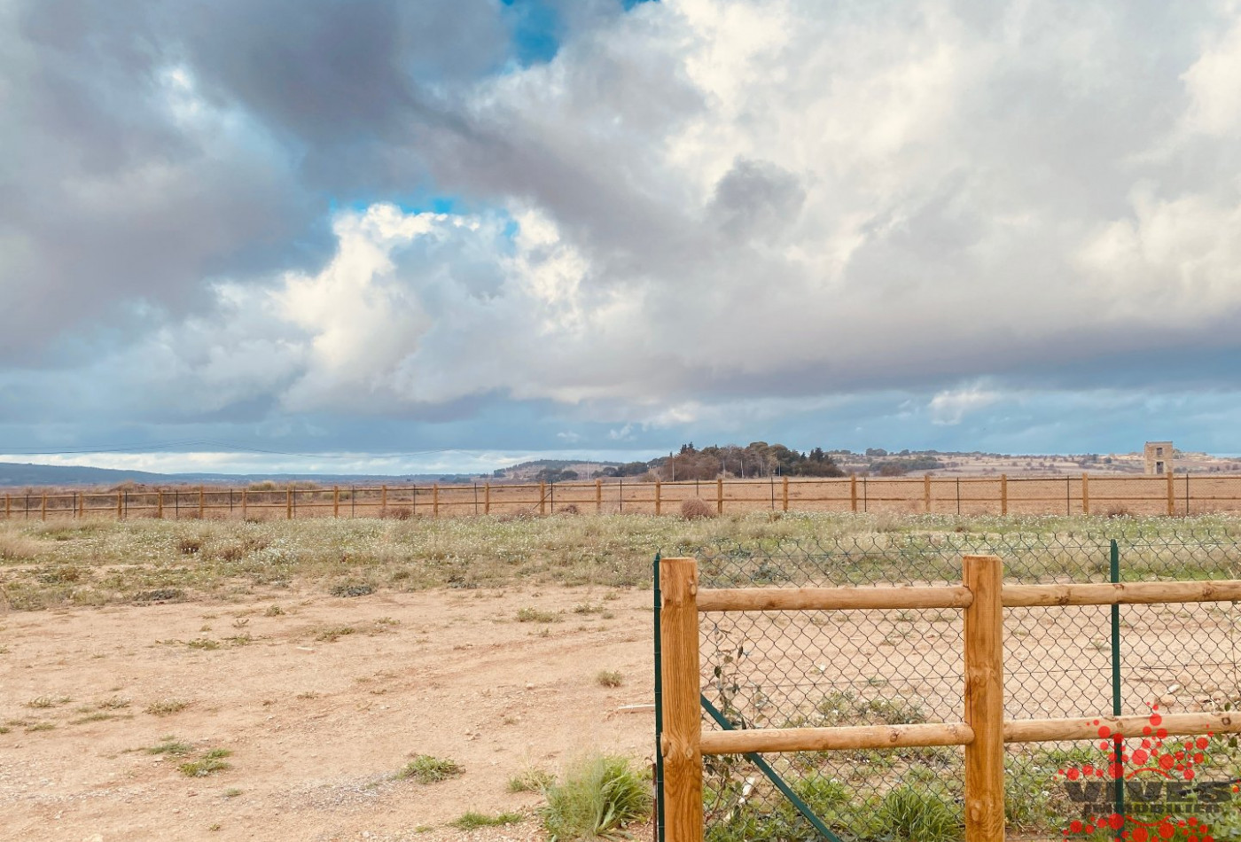 vente Terrain Vendres - Photo 2