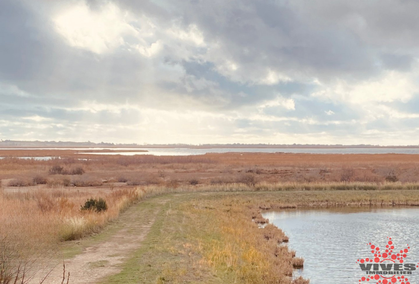 vente Terrain Vendres - Photo 1