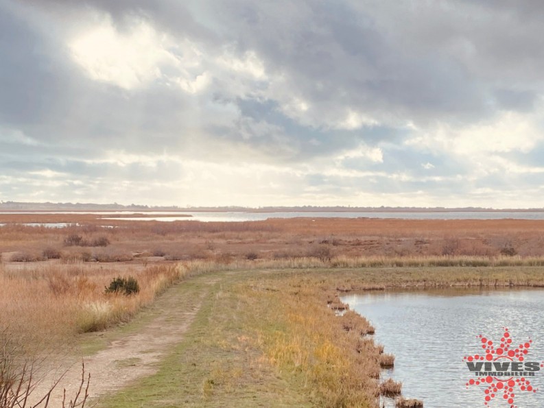 vente Terrain Vendres - Photo 1