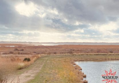 vente Terrain Vendres