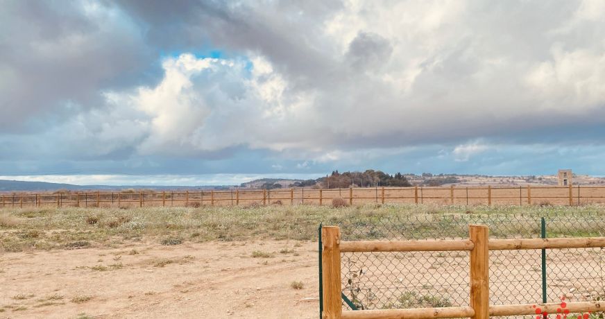 vente Terrain Vendres