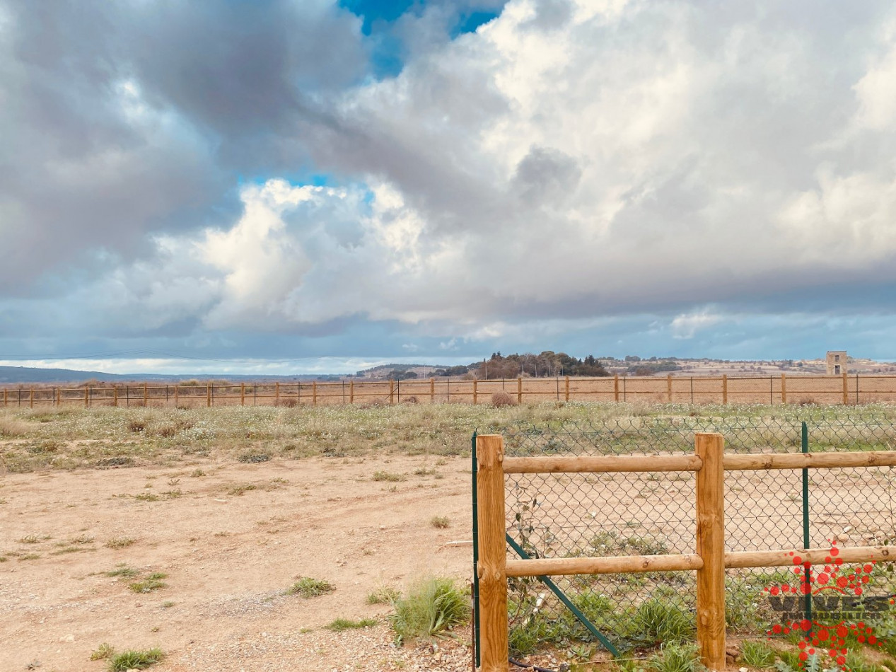 vente Terrain Vendres - Photo 2