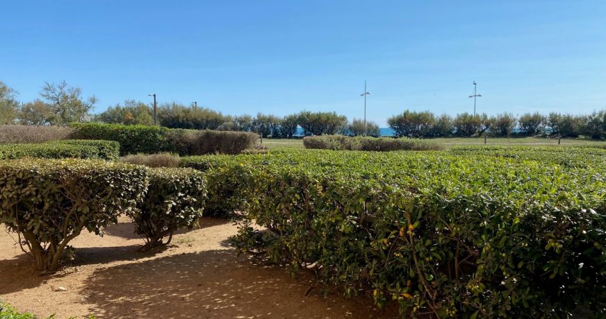 vente Appartement en résidence Cap D'agde