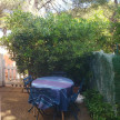 vente Appartement en rez de jardin Cap D'agde