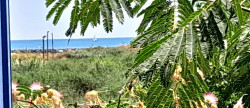 vente Appartement en résidence Cap D'agde