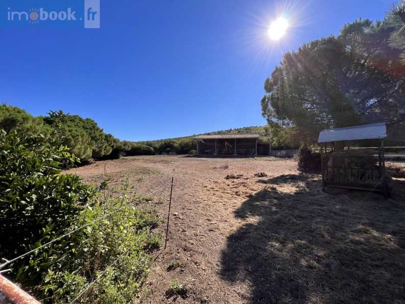 vente Maison Balaruc Le Vieux - Photo 5