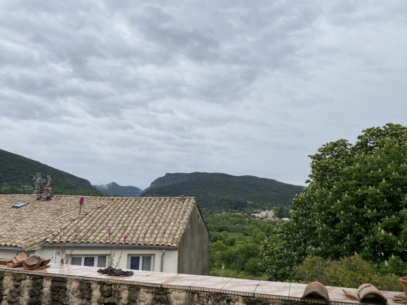 vente Immeuble Ganges - Photo 2