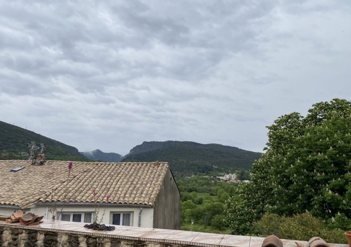 vente Immeuble Ganges