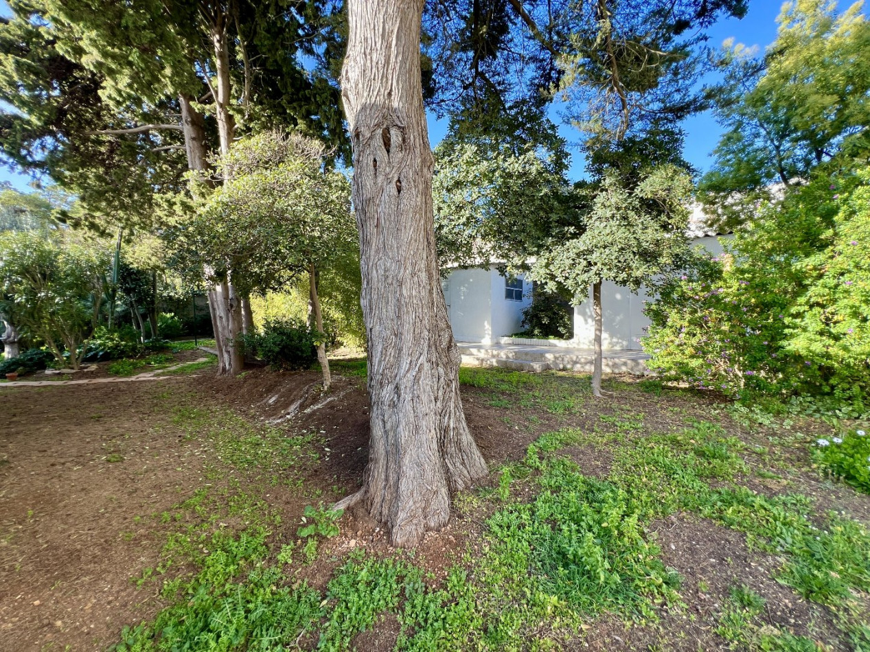 vente Maison Sete - Photo 9