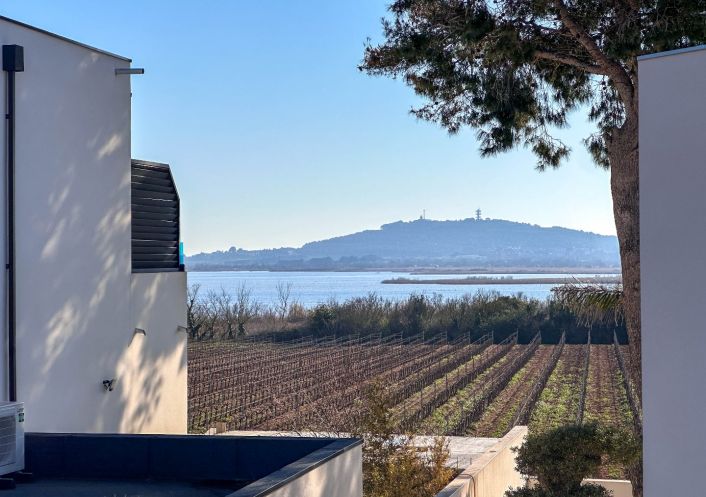 vente Maison Marseillan