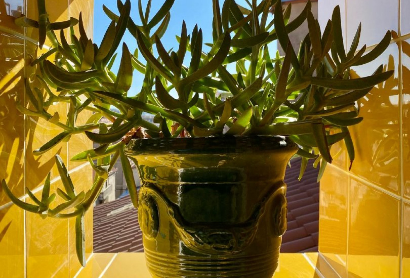 vente Appartement Sete - Photo 8