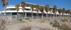 vente Sete