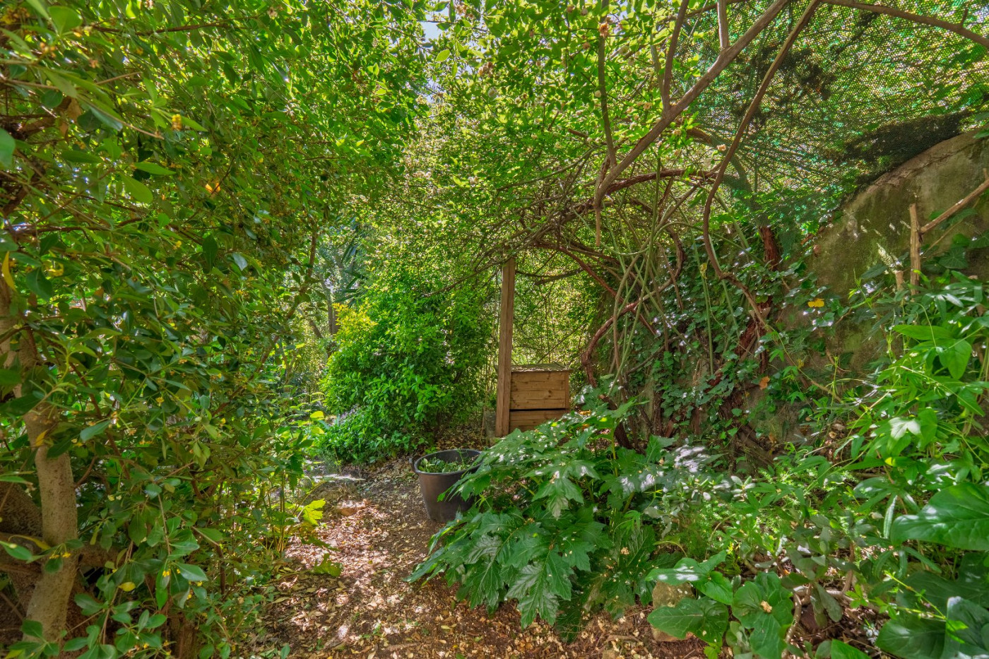 vente Maison Sete - Photo 4