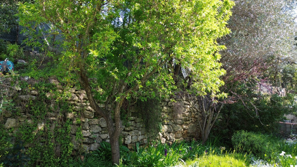 vente Maison Balaruc Le Vieux - Photo 5