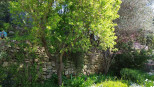 vente Maison Balaruc Le Vieux