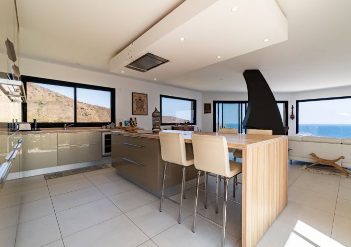 vente Maison Cerbere