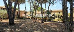 vente Appartement en résidence Le Cap D'agde