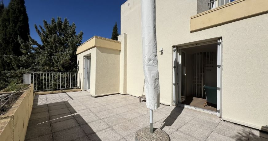 location Duplex Montpellier