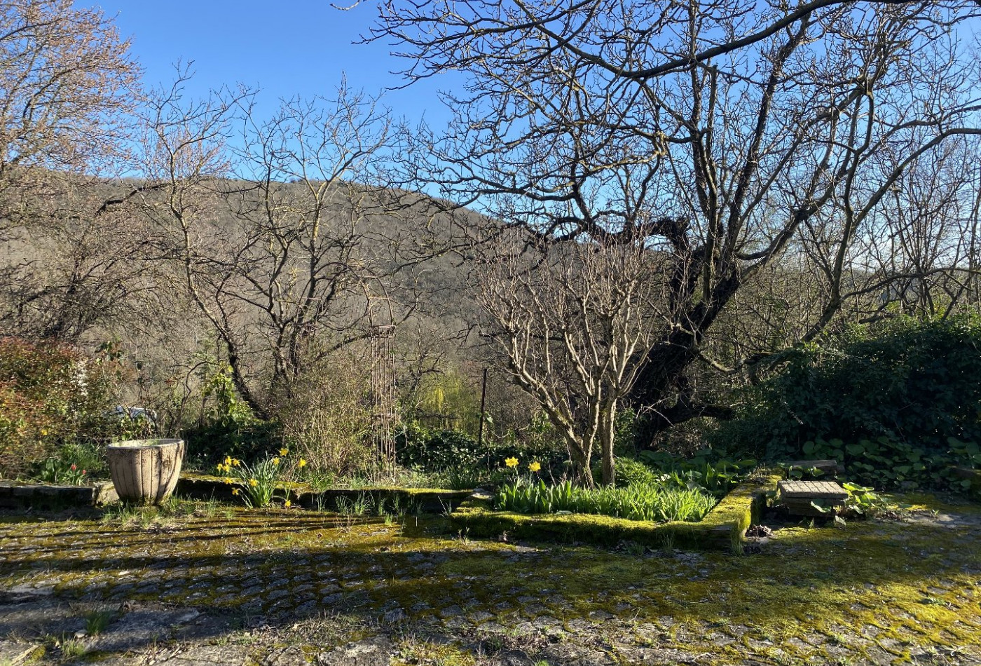vente Maison de hameau Dio Et Valquieres - Photo 8