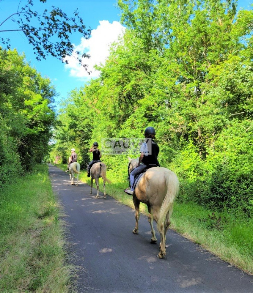 à vendre Haras / equestre Condom - Photo 6