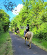 à vendre Haras / equestre Condom