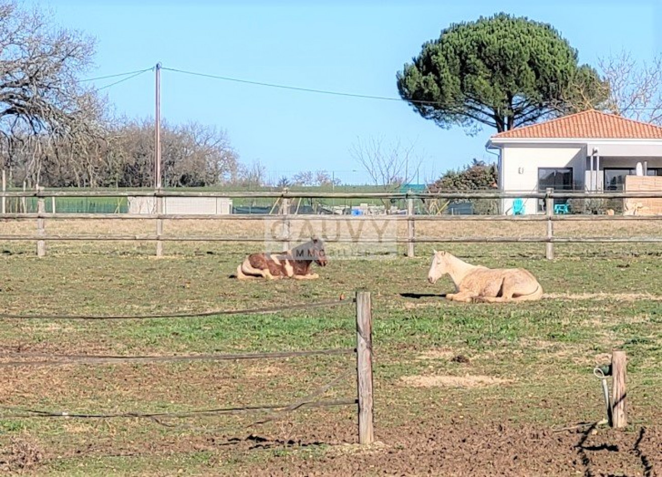 à vendre Haras / equestre Condom - Photo 5