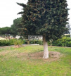 à vendre Terrain Cap D'agde