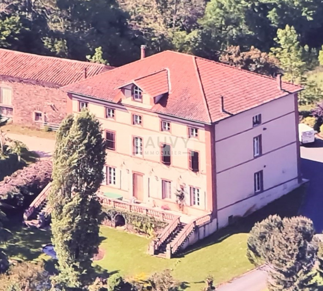 à vendre Château Rayssac - Photo 1