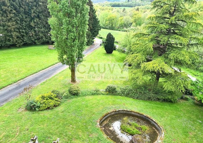 for sale Château Rayssac