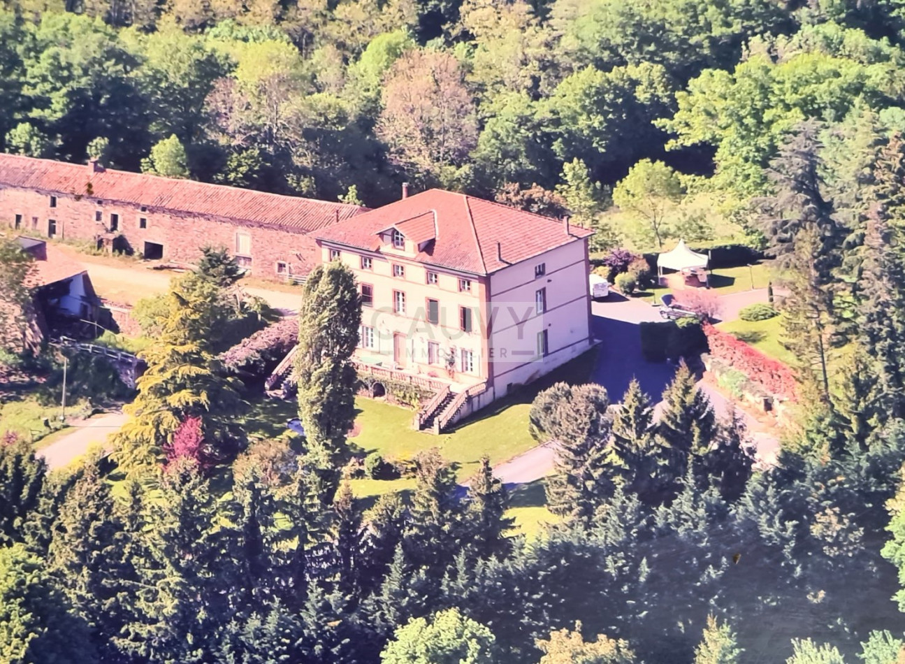 à vendre Château Rayssac - Photo 3