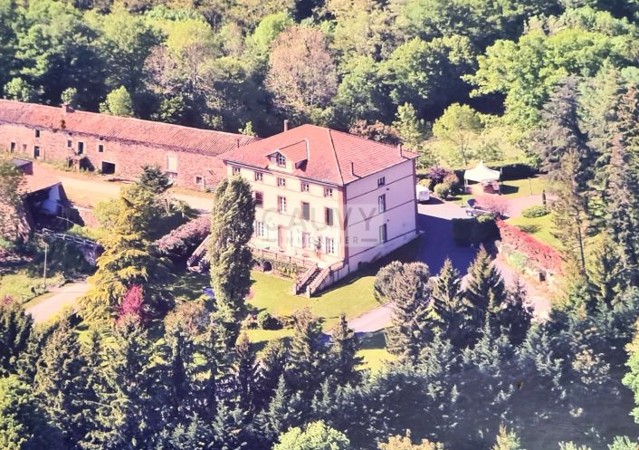 for sale Château Rayssac