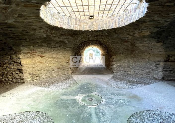 for sale Domaine Minerve