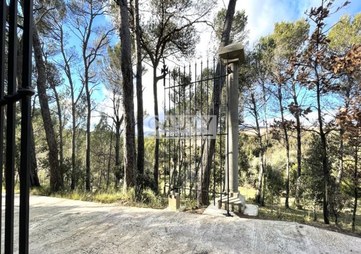 for sale Domaine Minerve