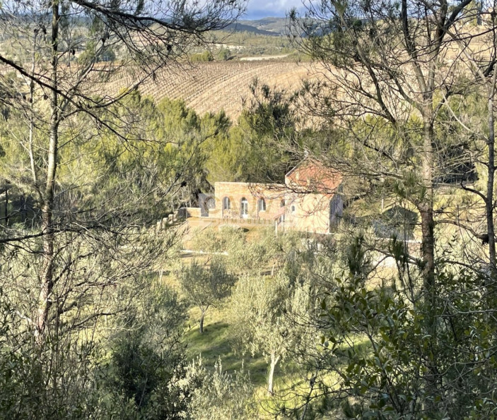 vente Domaine Minerve - Photo 7