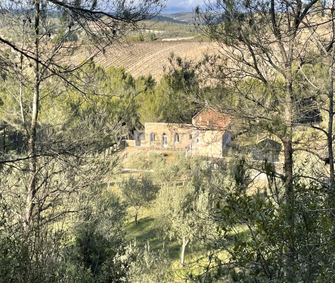 à vendre Domaine Minerve - Photo 7