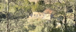 vente Domaine Minerve