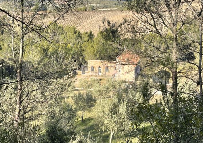 for sale Domaine Minerve