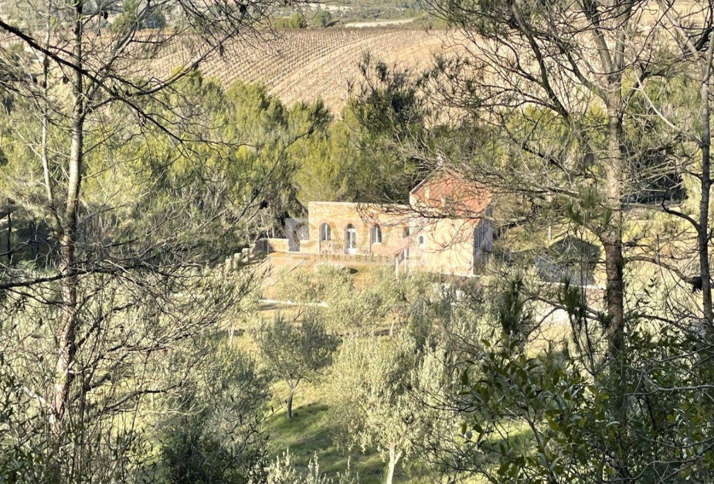 vente Domaine Minerve - Photo 7