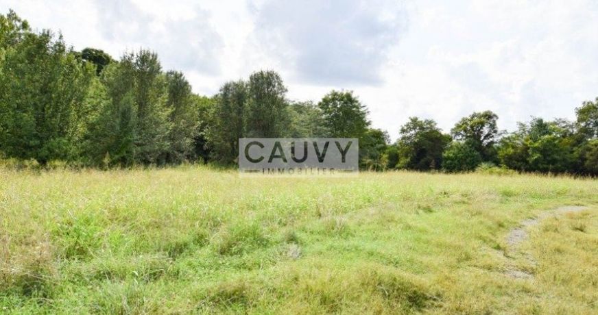 vente Terrain Marseillan