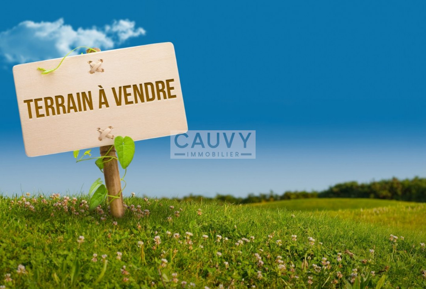 vente Terrain Le Grau D'agde - Photo 1