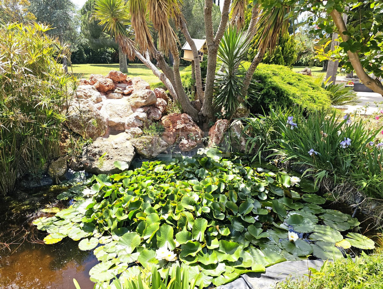 à vendre Avicole Vias - Photo 8