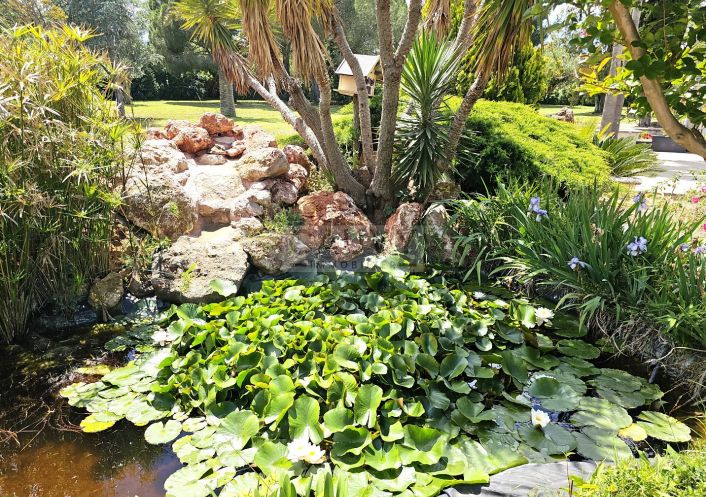 for sale Avicole Vias