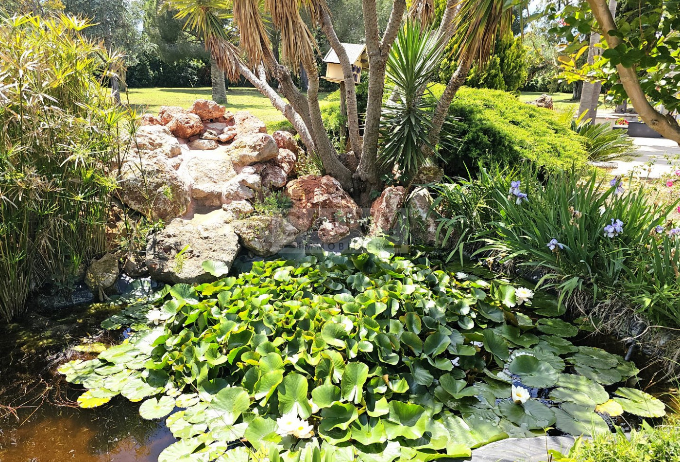 vente Avicole Vias - Photo 8