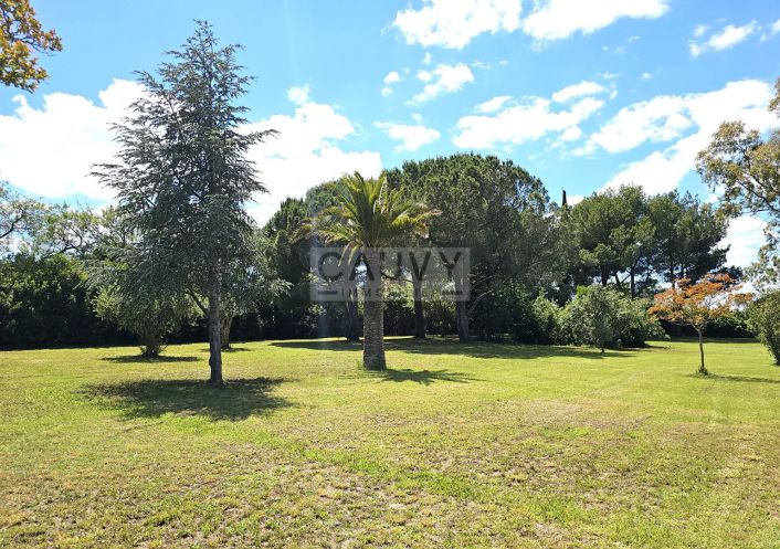 for sale Avicole Vias