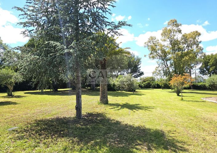 for sale Avicole Vias