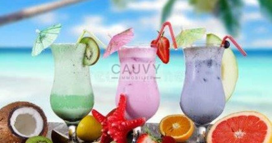 vente Ateliers et bureaux Meze