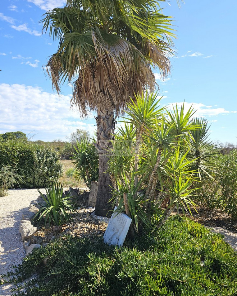 for sale Villa Pezenas - Photo 11