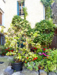 for sale Maison Agde